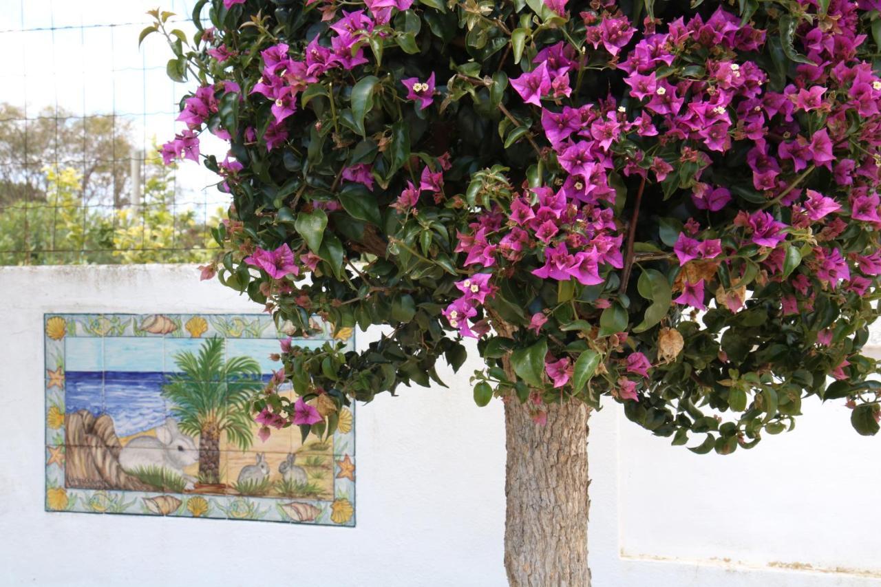 Pine Tree Apartments - Praia Da Coelha - Албуфейра Екстериор снимка